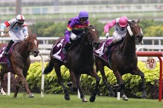 Counteofmontecristo (NZ) continues his winning streak at Kranji. Photo: Singapore Turf Club